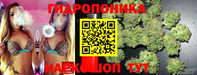 a pvp Бугуруслан